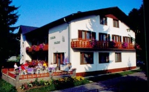 waldhof1990